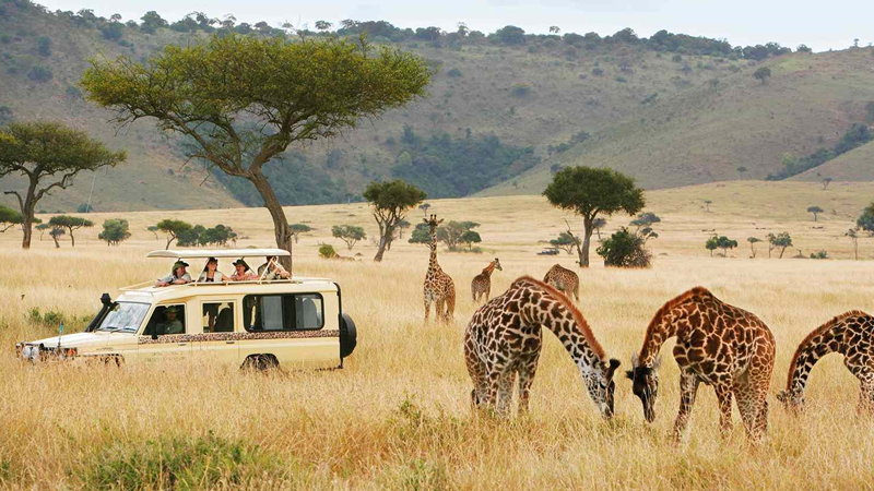Tour Du Lịch Nam Phi 2024 : Johannesburg – Pretoria – Mabula Game Lodge – Cape Town – Thị Trấn Hermanus 8N7Đ